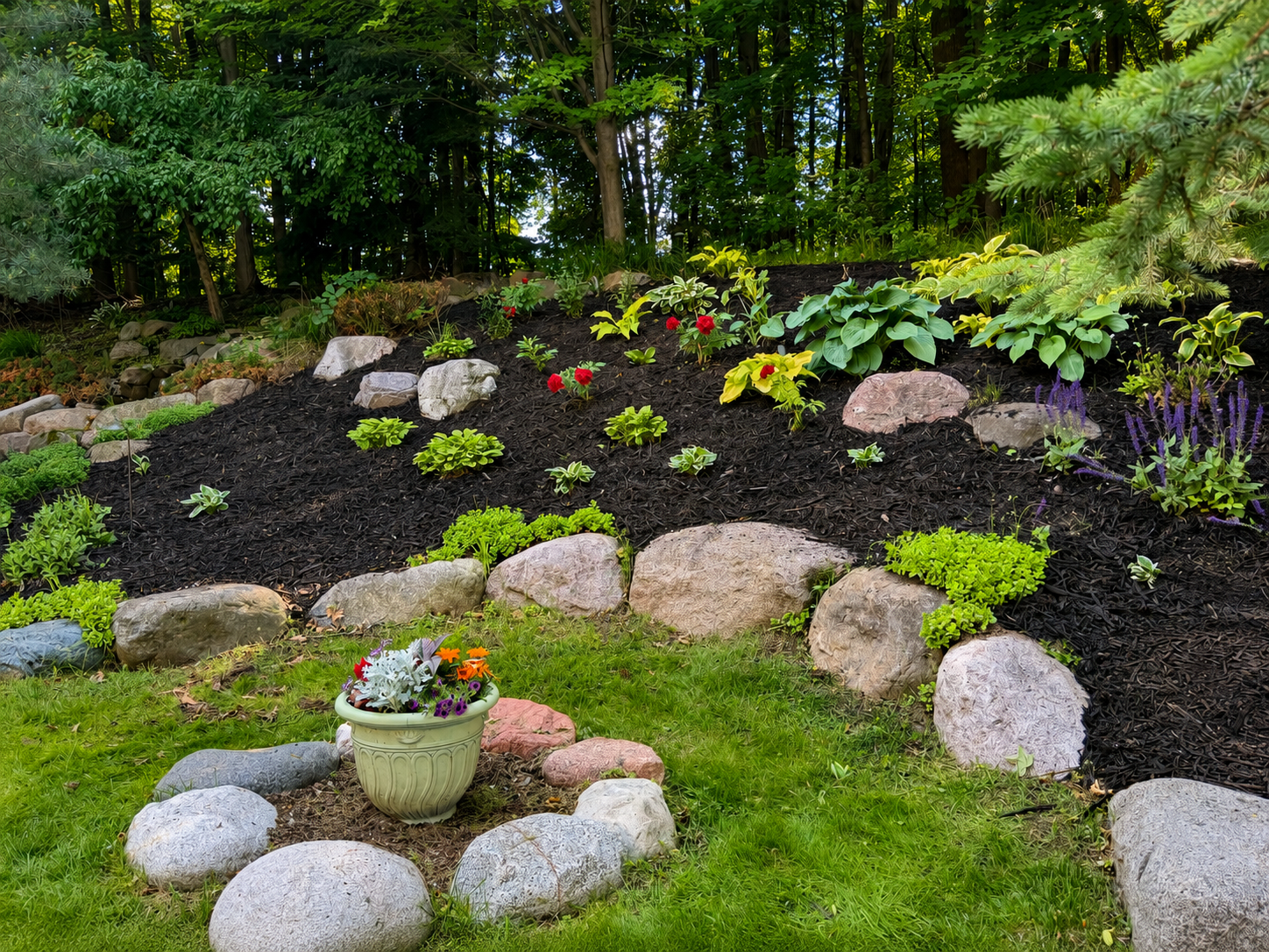 Landscaped garden bed with fresh mulch and plants